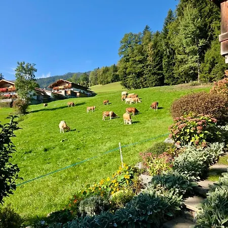 Apartment Haus Alina
